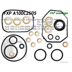 Repair kit FXPA100C2505